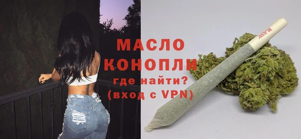 гашик Осинники