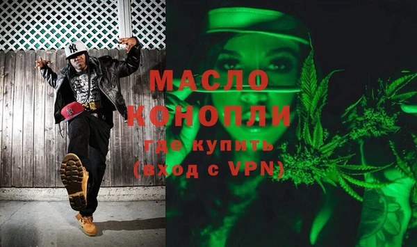 гашик Осинники