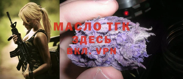 гашик Осинники