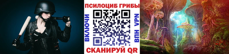 Галлюциногенные грибы Psilocybe  OMG вход  Ленинск 